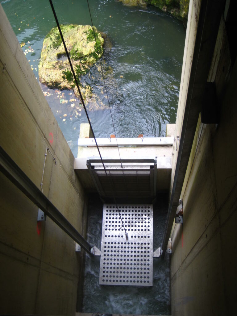 Ascenseur-poisson_01