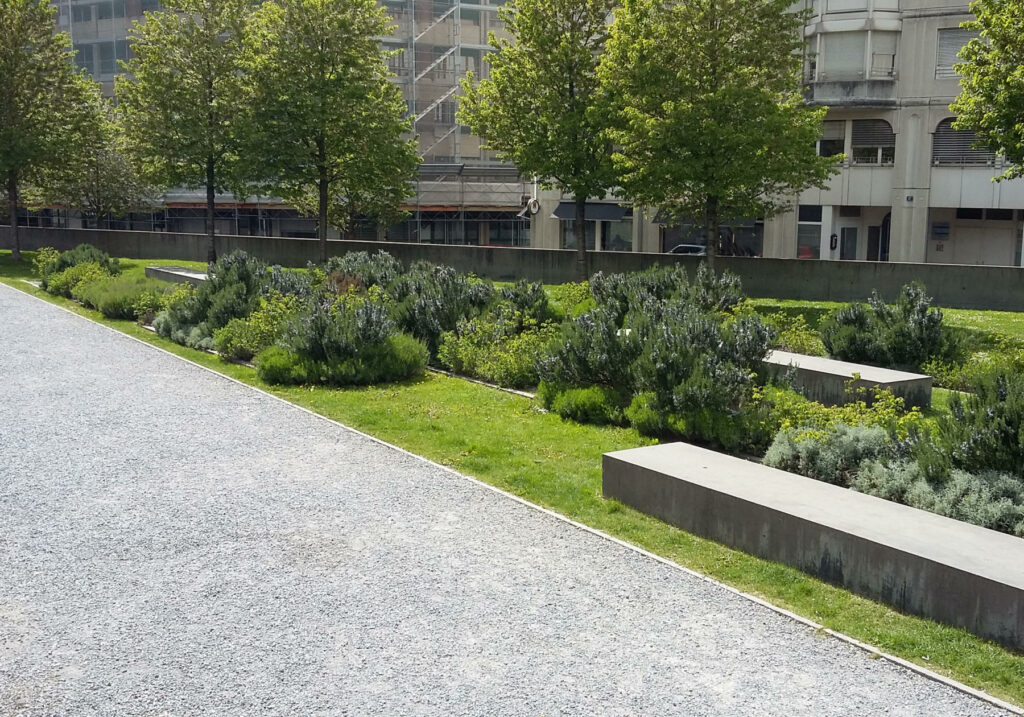 Parc-des-Chaumettes-A2