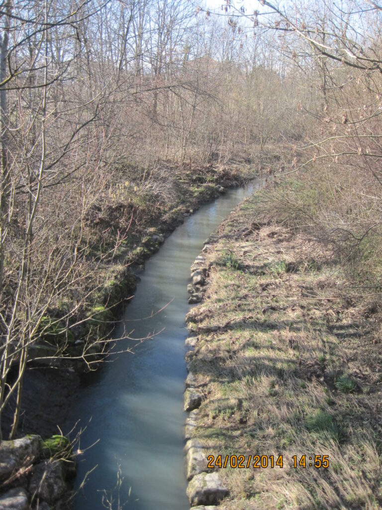 renat-Seymaz-0-etat_initial-1