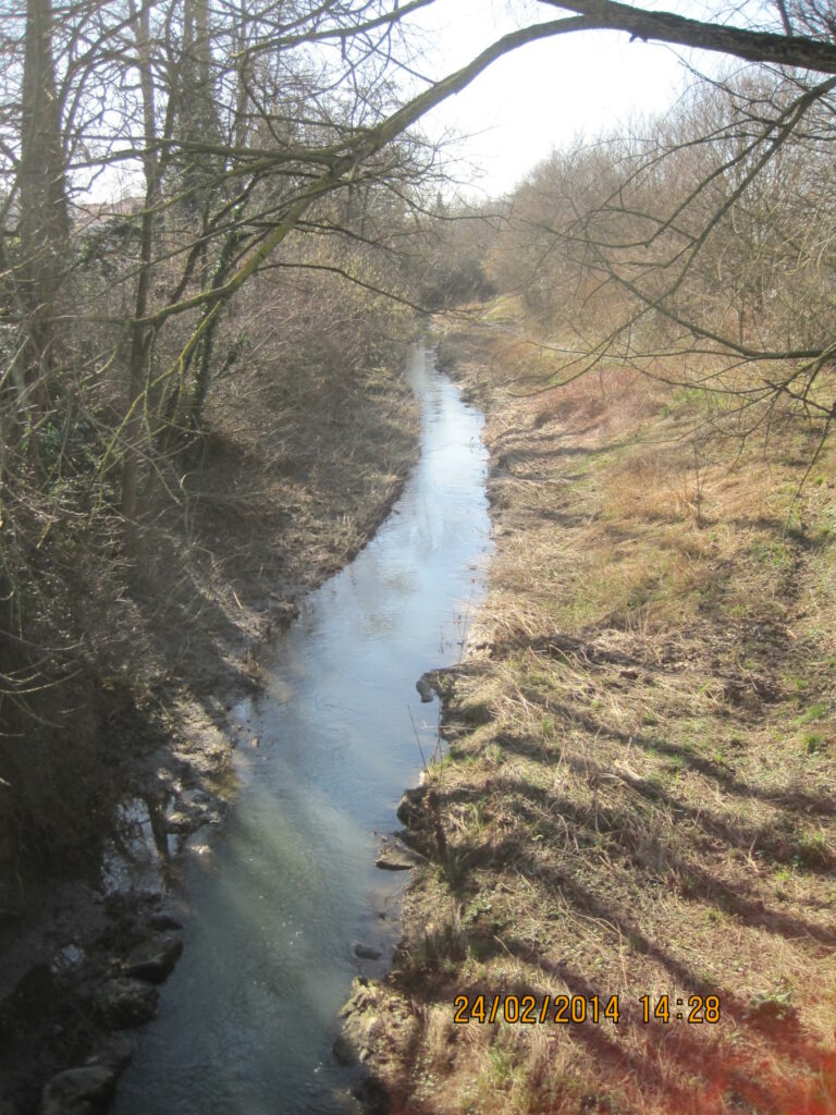 renat-Seymaz-0-etat_initial-2