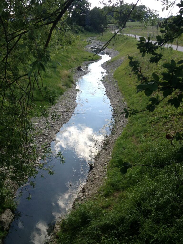 renat-Seymaz-1-etat_final-vue-aval-pont-bochet